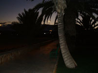 Caleta de Fuste - Fuerteventura