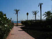 Walk-Way To Beach