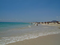 Sand Dune Beaches Near Corralejo