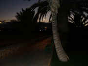 Part Of The Walk Way Along Caleta Coast