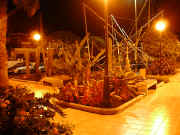 Well Kept Cactus Gardens